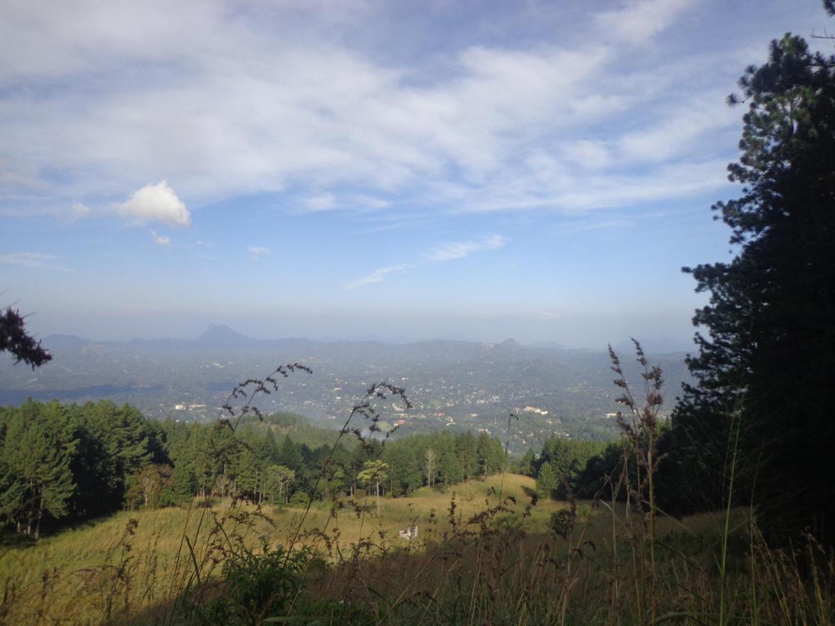 Nisha Homestay Inn Peradeniya Zewnętrze zdjęcie